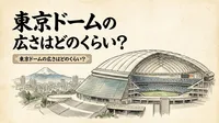 東京ドームの広さはどのくらい？